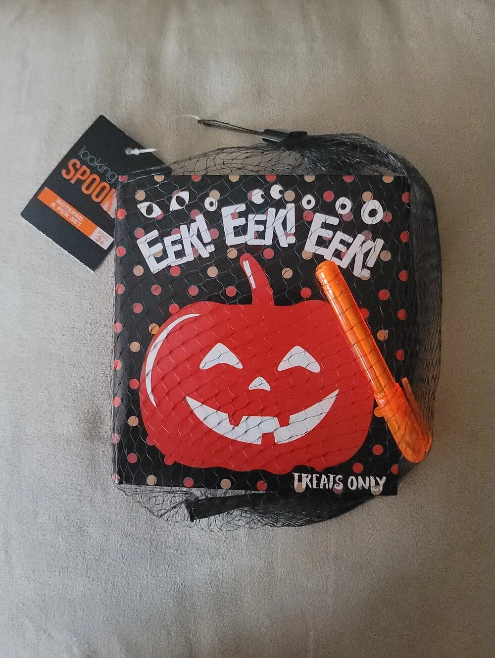 LOOKING SPOOKY 'Eek!' Halloween Notebook & Pen Set
